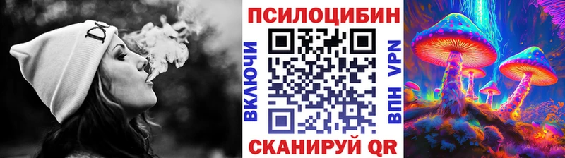 Галлюциногенные грибы Psilocybe  МЕГА маркетплейс  Приморск 
