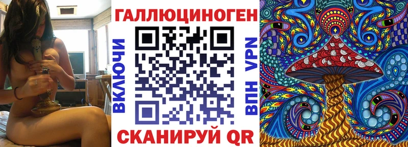 Галлюциногенные грибы Psilocybine cubensis Приморск